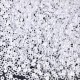 Miyuki rocailles Perlen 15/0 - Crystal matted 15-131F